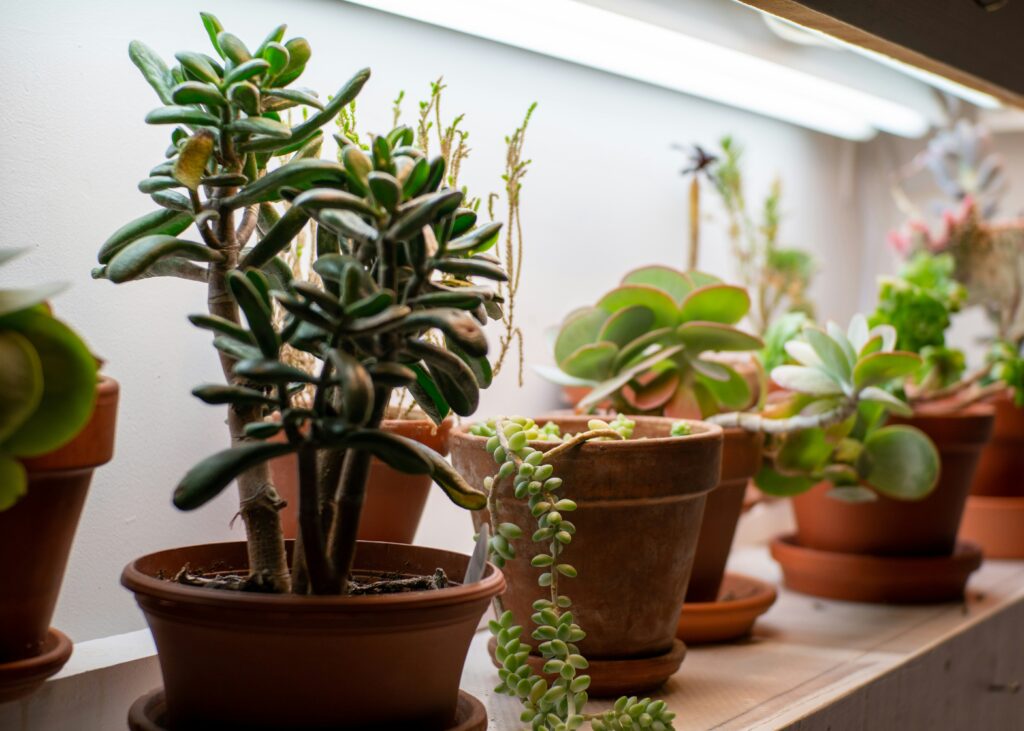 best container gardens for small patios ideas