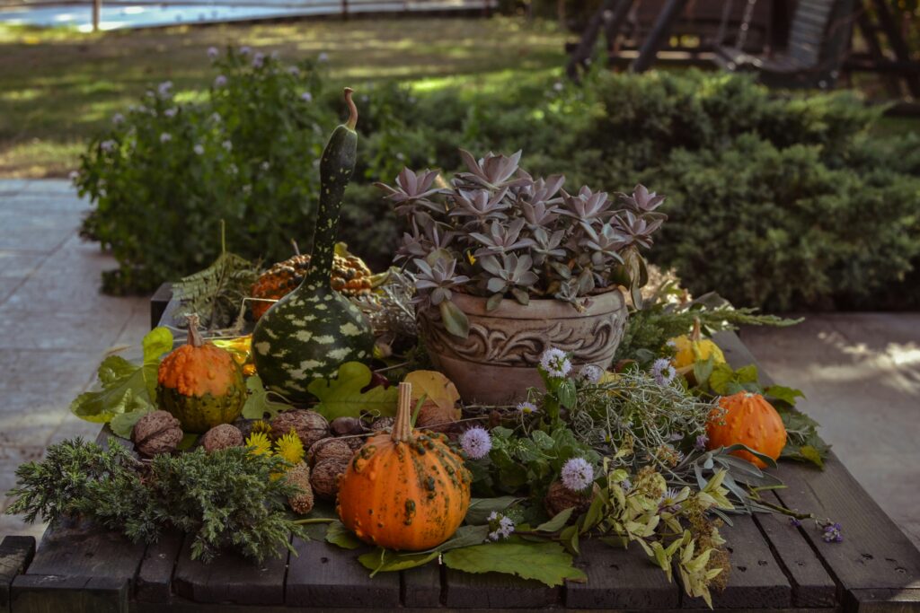 Everything You Need to Grow Incredible Fall Vegetables in Containers best fall vegetables to grow in containers