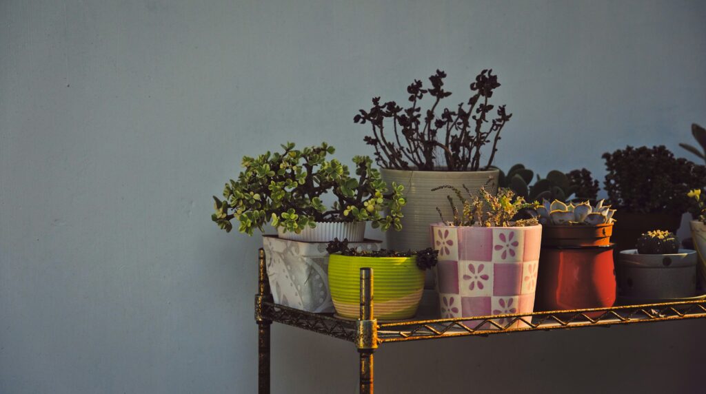 Beautiful Small Balcony Garden: How to Choose the Best Pots and Containers best pots for small balcony gardens