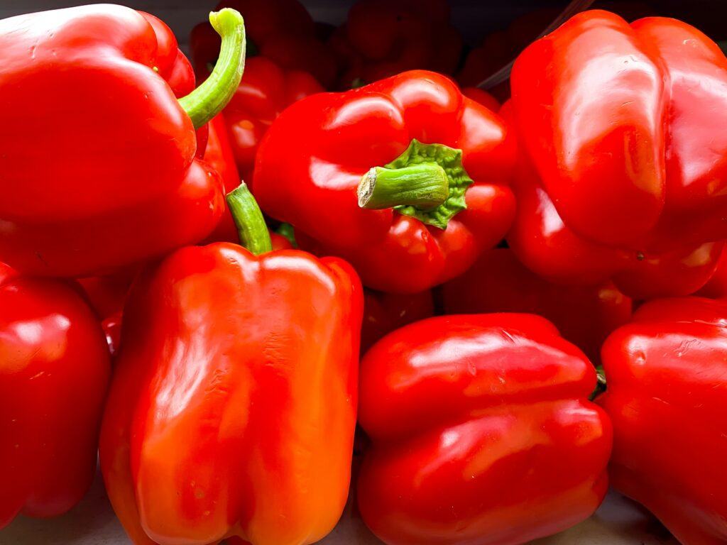 Bell Peppers Love Growing in Pots: Here Is How to Get the Best Harvest how to grow bell peppers in pots proven tips
