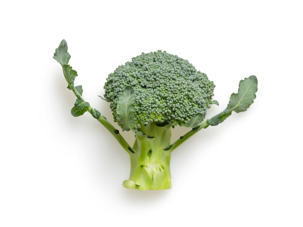 how to grow broccoli in containers easy guide