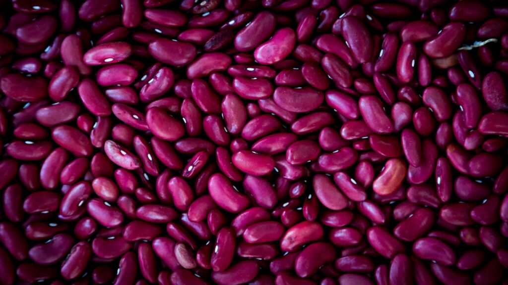 how to grow green beans in containers at home