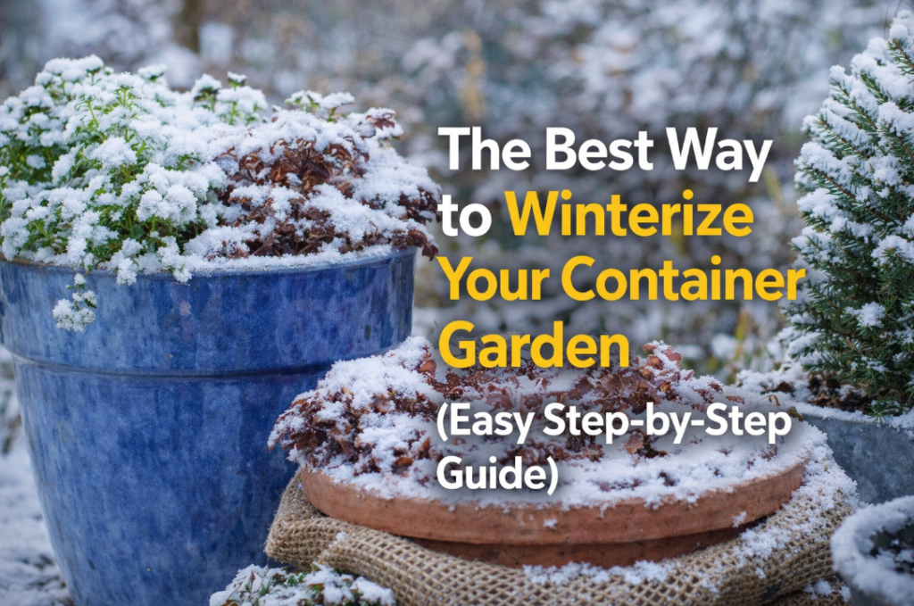 The Best Way to Winterize Your Container Garden (Easy Step-by-Step Guide) how to winterize your container garden