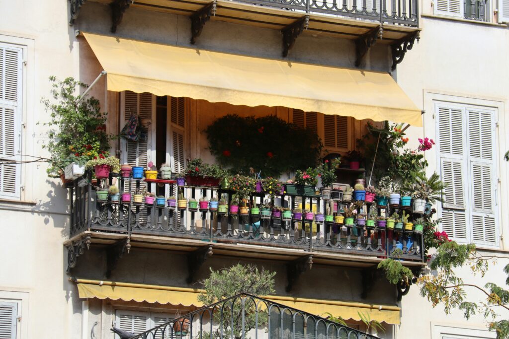 best container plants for north facing balconies