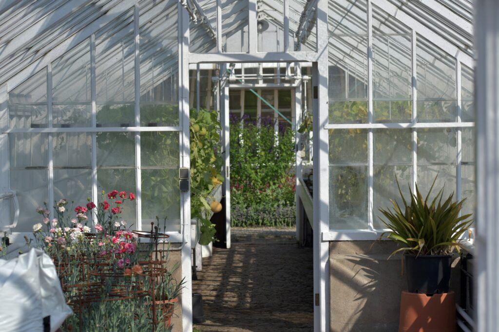 Flowers but No Vegetables? Hand Pollination Is the Simple Fix You Need Right Now how to hand pollinate container vegetables easy