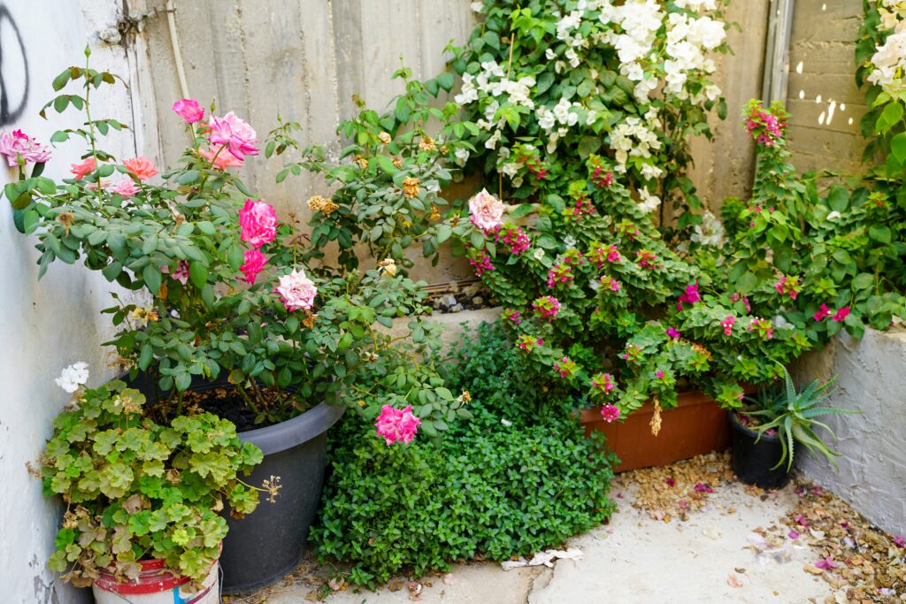 Beautiful Spring Container Garden Ideas That Will Transform Your Patio spring container garden ideas to inspire you