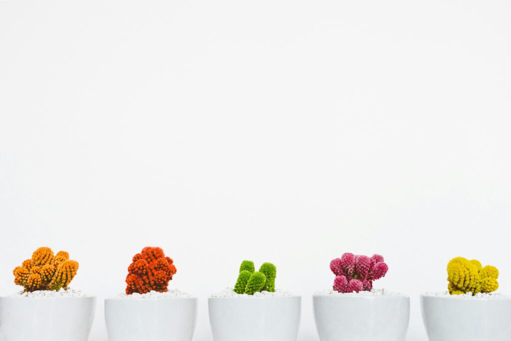 how to choose the right plants for your container garden